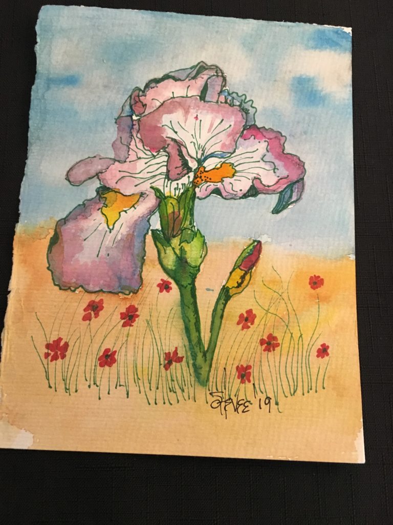 Iris in Field
